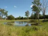 Lot 31 Brooweena Woolooga Road, Teebar, Qld 4620-Image