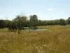 Lot 31 Brooweena Woolooga Road, Teebar, Qld 4620-Image
