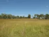 Lot 31 Brooweena Woolooga Road, Teebar, Qld 4620-Image