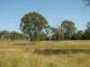Lot 31 Brooweena Woolooga Road, Teebar, Qld 4620-Image