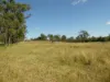 Lot 31 Brooweena Woolooga Road, Teebar, Qld 4620-Image