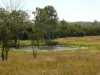 Lot 31 Brooweena Woolooga Road, Teebar, Qld 4620-Image