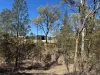 Lot 34 Gibraltar Station Road, Tenterfield, NSW 2372
