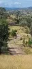 Lot 34 Gibraltar Station Road, Tenterfield, NSW 2372-Image