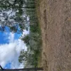Lot 34 Gibraltar Station Road, Tenterfield, NSW 2372-Image