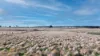 Lot 4 Browns Lane, Snake Valley, Vic 3351-Image