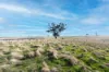 Lot 4 Browns Lane, Snake Valley, Vic 3351-Image