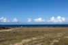 Lot 4 Lincoln Highway, Port Neill, SA 5604-Image
