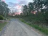 Lot 42 Green Gully Road, Murphys Creek, Qld 4352