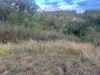 Lot 42 Green Gully Road, Murphys Creek, Qld 4352-Image