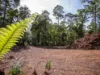 Lot 5 Liena Road, Liena, Tas 7304-Image