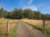 Lot 5 Liena Road, Liena, Tas 7304-Image