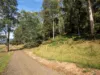 Lot 5 Liena Road, Liena, Tas 7304-Image
