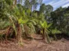 Lot 5 Liena Road, Liena, Tas 7304-Image