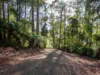 Lot 5 Liena Road, Liena, Tas 7304-Image