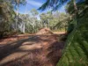 Lot 5 Liena Road, Liena, Tas 7304-Image