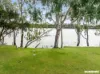 Lot 501 Murbko Road, Murbko, SA 5320-Image