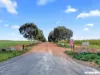 Lot 501 Murbko Road, Murbko, SA 5320-Image