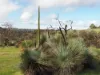 Lot 51 Bark Hut Road, Cassini, SA 5223-Image