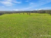 Lot 55 & 56 Harrington Road, Coopernook, NSW 2426-Image