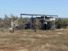Lot 567 Telowie Road, Telowie, SA 5540-Image