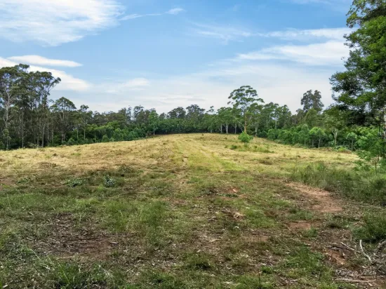 Lot 62 Baxters Ridge Road, Gloucester, NSW 2422