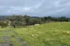 Lot 7 Longview Road, Big Hill, NSW 2579