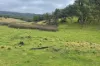 Lot 7 Longview Road, Big Hill, NSW 2579-Image