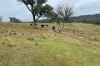 Lot 7 Longview Road, Big Hill, NSW 2579-Image