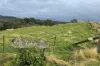 Lot 7 Longview Road, Big Hill, NSW 2579-Image