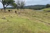 Lot 7 Longview Road, Big Hill, NSW 2579-Image