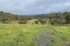 Lot 7 Longview Road, Big Hill, NSW 2579-Image