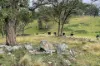 Lot 7 Longview Road, Big Hill, NSW 2579-Image