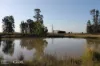 LOT 70 Turner Road, Punchs Creek, Qld 4357-Image
