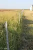 LOT 70 Turner Road, Punchs Creek, Qld 4357-Image