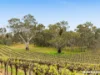 Lot 704 Wynns Road, Flaxman Valley, SA 5235-Image