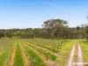 Lot 704 Wynns Road, Flaxman Valley, SA 5235-Image
