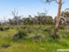 Lot 704 Wynns Road, Flaxman Valley, SA 5235-Image