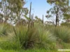 Lot 704 Wynns Road, Flaxman Valley, SA 5235-Image