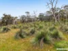 Lot 704 Wynns Road, Flaxman Valley, SA 5235-Image