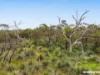 Lot 704 Wynns Road, Flaxman Valley, SA 5235-Image