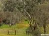 Lot 704 Wynns Road, Flaxman Valley, SA 5235-Image