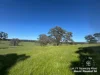 Lot 711 Tapscotts Road, Mount Pleasant, SA 5235-Image