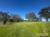 Lot 711 Tapscotts Road, Mount Pleasant, SA 5235-Image