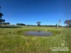 Lot 711 Tapscotts Road, Mount Pleasant, SA 5235-Image