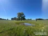 Lot 711 Tapscotts Road, Mount Pleasant, SA 5235-Image