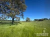 Lot 711 Tapscotts Road, Mount Pleasant, SA 5235-Image