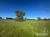 Lot 711 Tapscotts Road, Mount Pleasant, SA 5235-Image