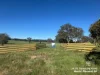 Lot 711 Tapscotts Road, Mount Pleasant, SA 5235-Image