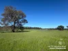 Lot 711 Tapscotts Road, Mount Pleasant, SA 5235-Image